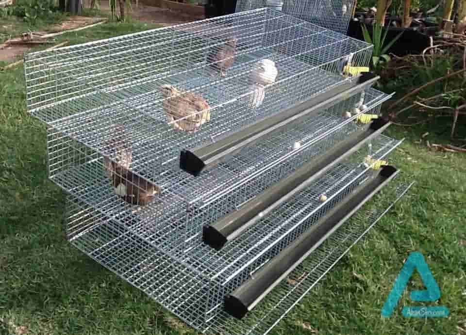 ساخت قفس پرندگان